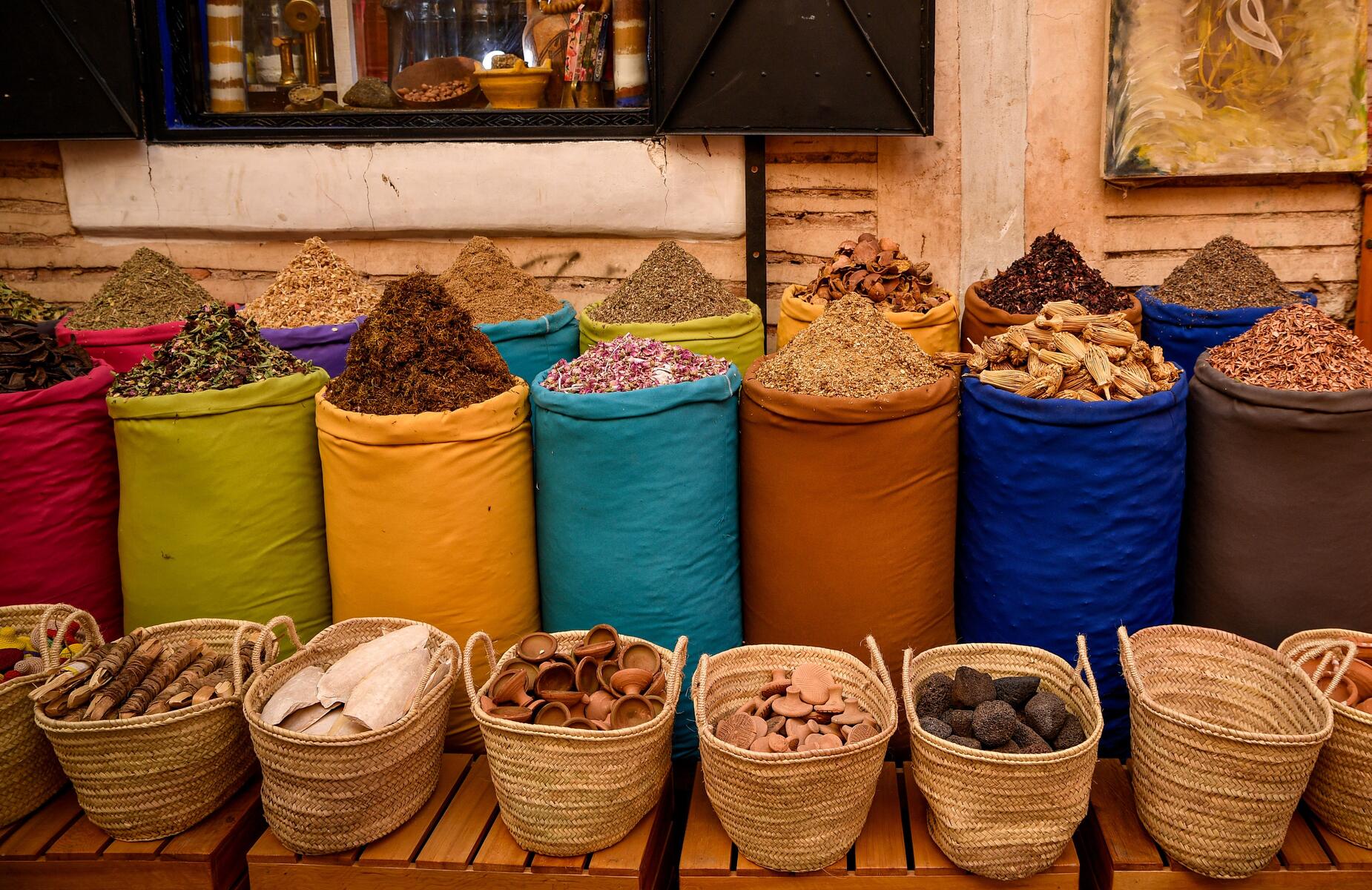 Arganier près d'Essaouira