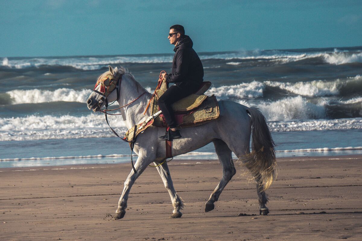 Balade à cheval sur la plage d'Essaouira