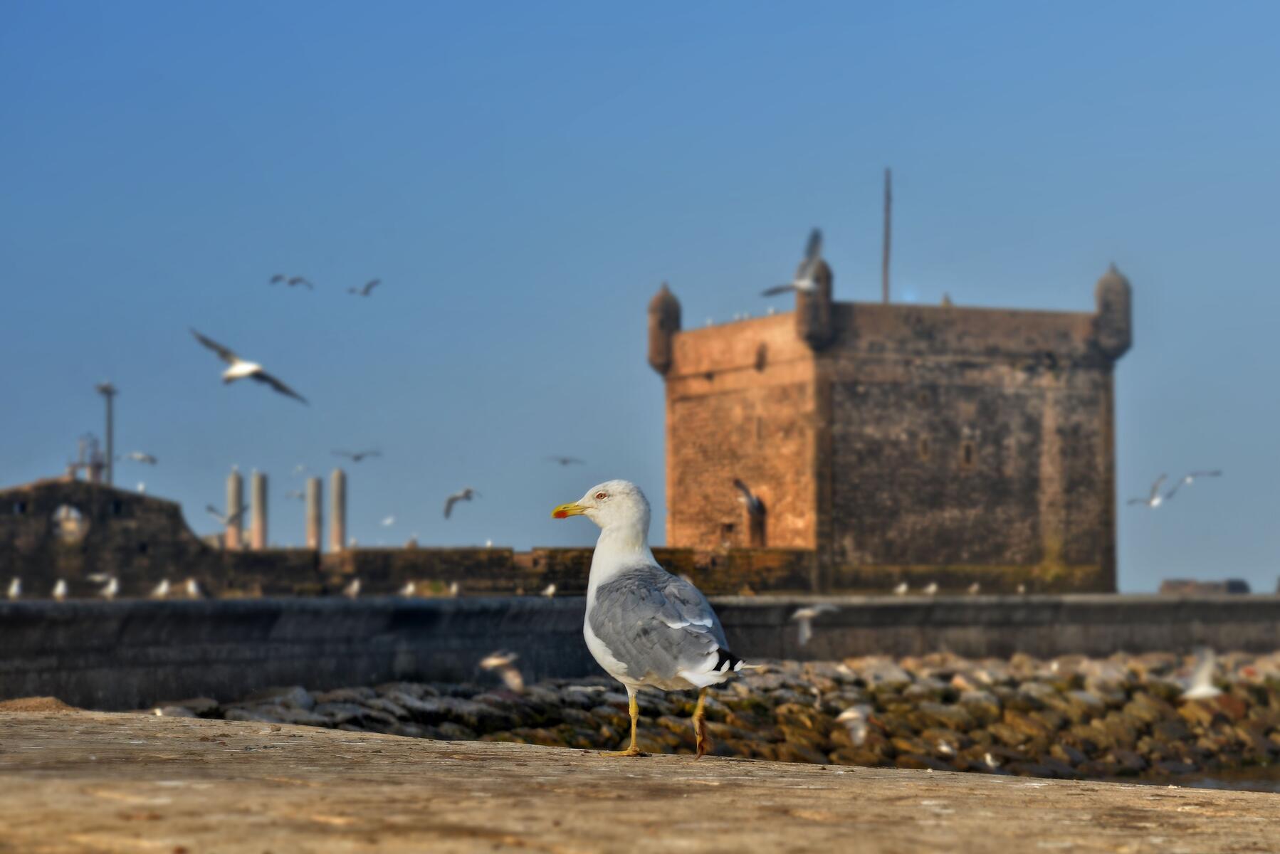 Souk d'artisans dans la médina d'Essaouira