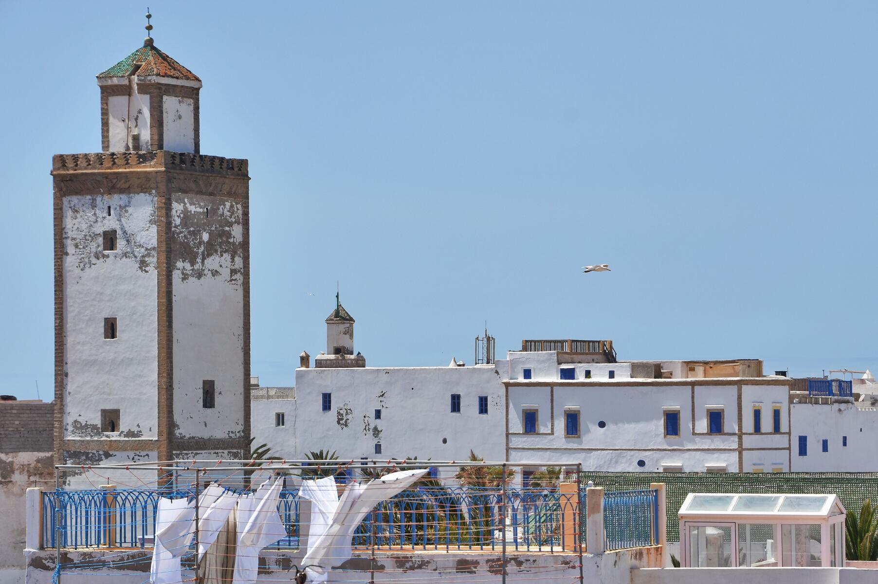 Port aux mouettes d'Essaouira