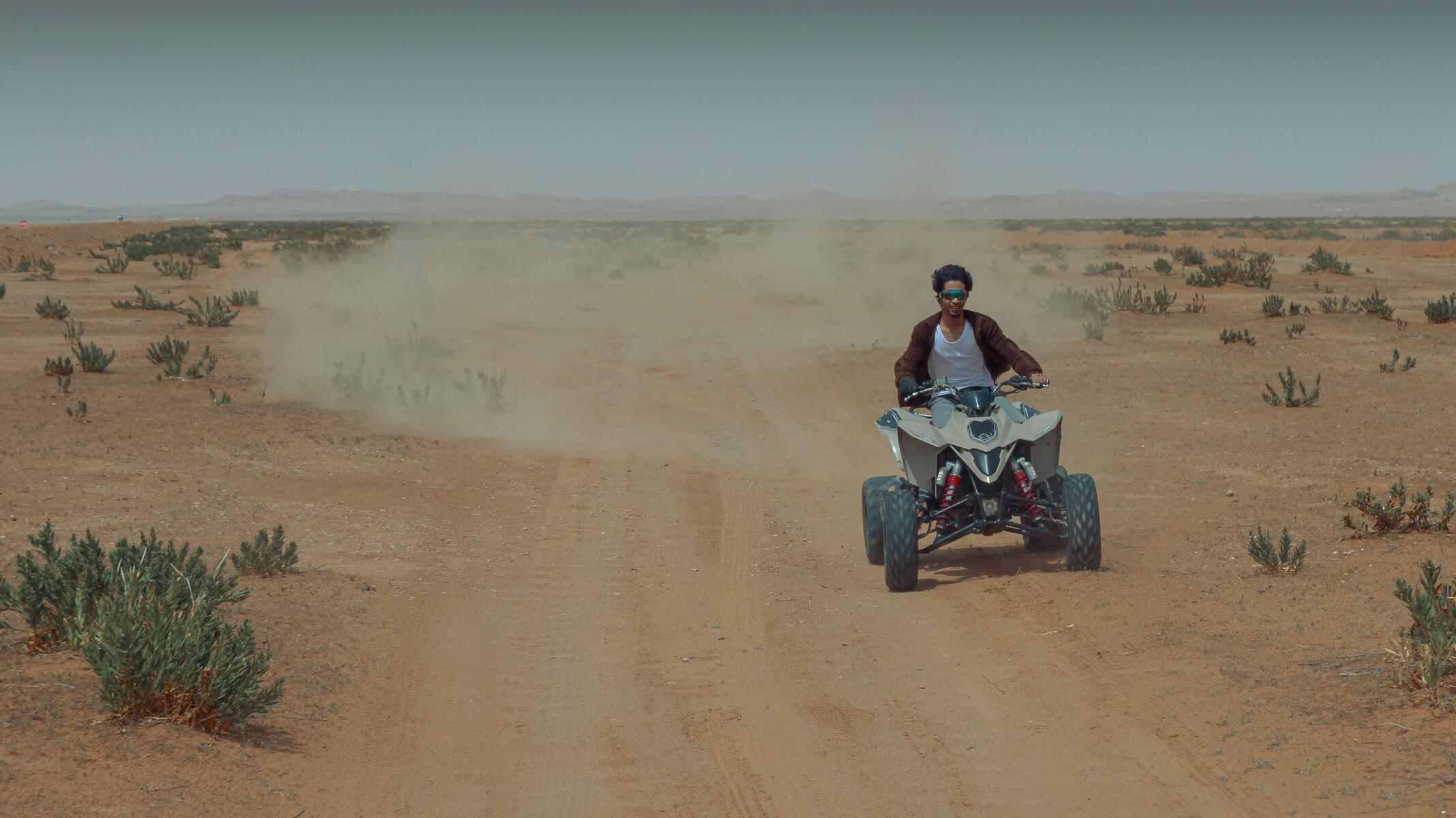 Forêt de thuyas près d'Essaouira